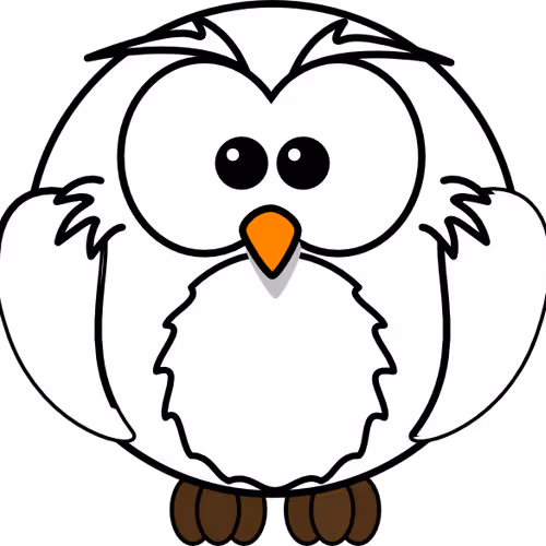 OWL by the world - old