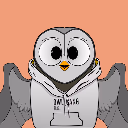 OwlGangforGA