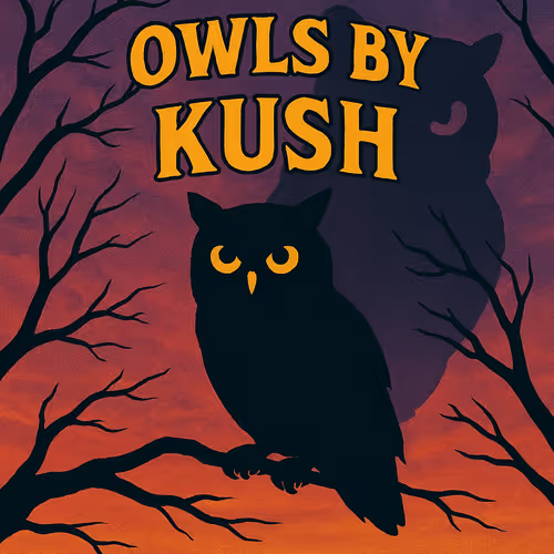 Owls by Kush