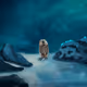 Only Whimsical Yetis