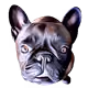Pablopopcorn