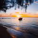 Pacific Island