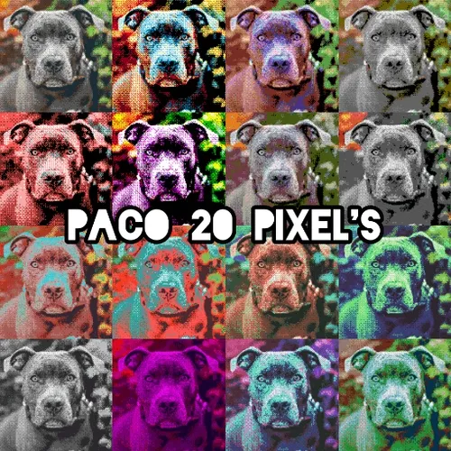 PACO 20 PIXEL'S