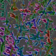 Paint Fun - old