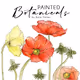 Painted Botanicals