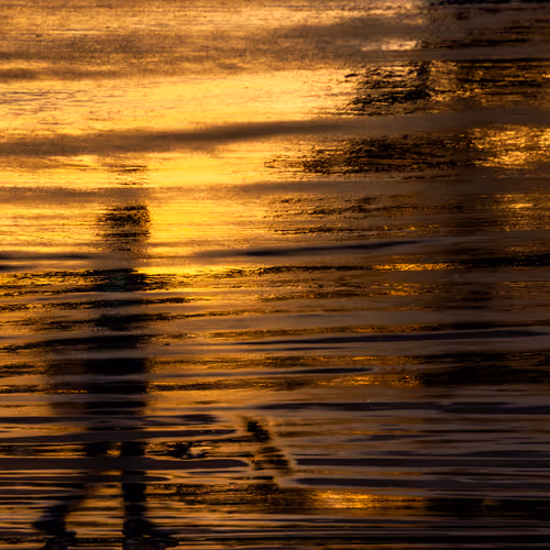 Photo Artwork