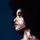 Painted In Culture - old