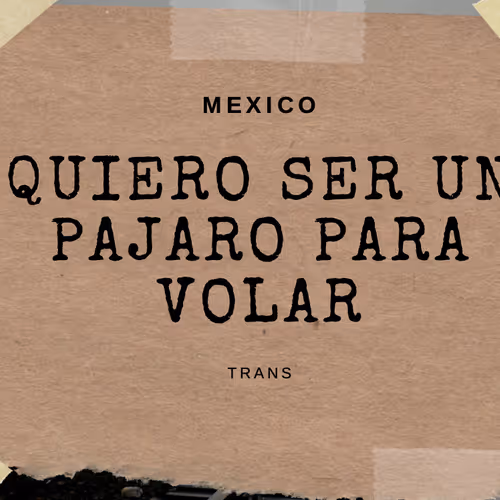 Quiero ser un Pajaro para volar