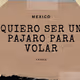 Quiero ser un Pajaro para volar