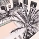 Palms living near Palms