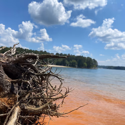 Palpitations of the Earth - old