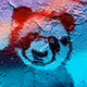 Panda_22 - old