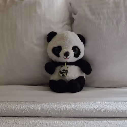 Panda Around the Earth