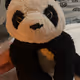 Panda Bear Yacht Club