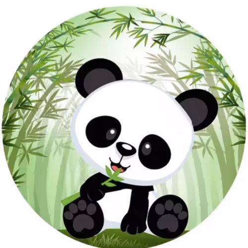 panda divertido (Fun Panda)