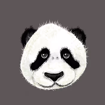 Panda Panda Collection