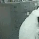 Panda_VS_Office - old