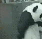 Panda_VS_Office - old