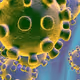 pandemic V2 - old