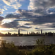 Pandemic New York City