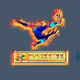Panini Poly Arts