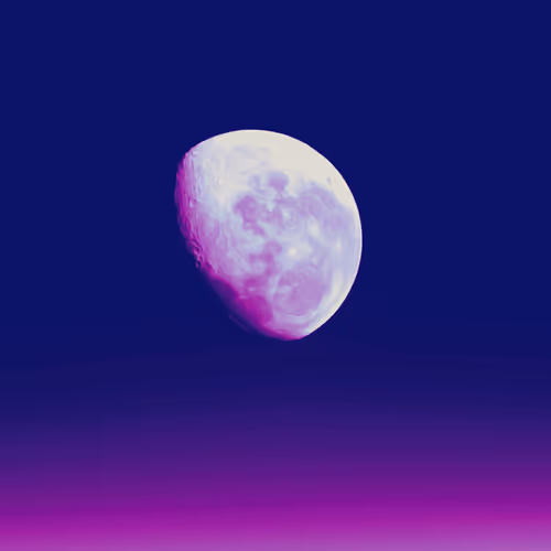 Nature in the Metaverse & Other Worlds - old