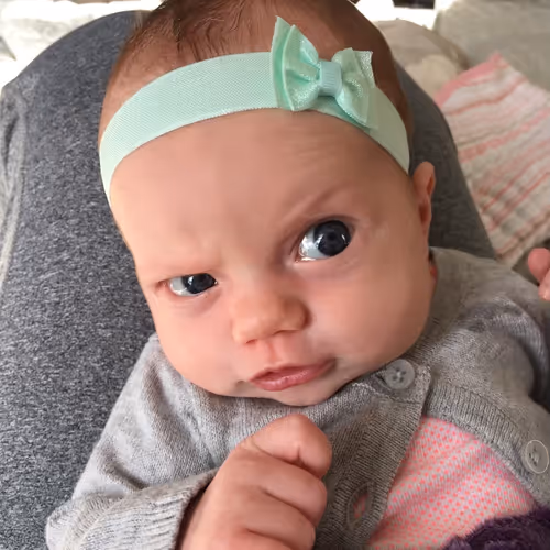 PantherBear Collection