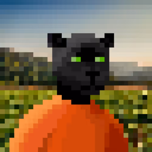 Panthers pixel