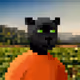 Panthers pixel