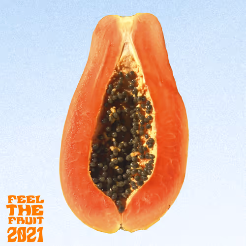 PAPAYA V2