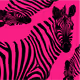 Papercutting Zebra - 100 Colors