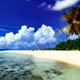 Paradise Bliss