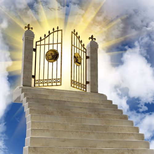 Paradise engineering - tickets to Eden