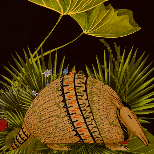 Paraguay ilustrado V2