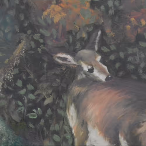 Paramo by AngieTruAc