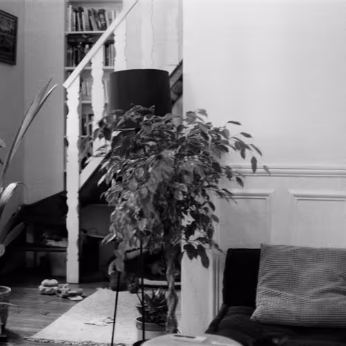 Paris Film Wave : Basic