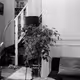 Paris Film Wave : Basic