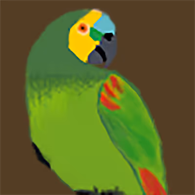 Parrot Loro