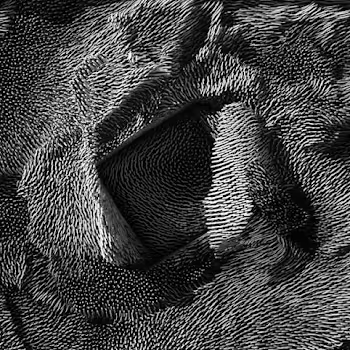 Particle Systems Art