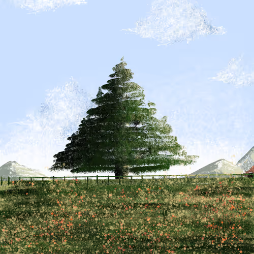 a car under the tree - old