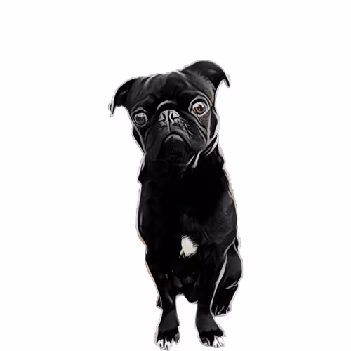 PartyPugs Collection - old - el8aWReb00