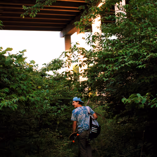 Parynoid Pictures - old