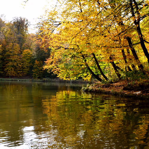 Parz Lake