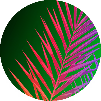 Pastel Palms Collection #10