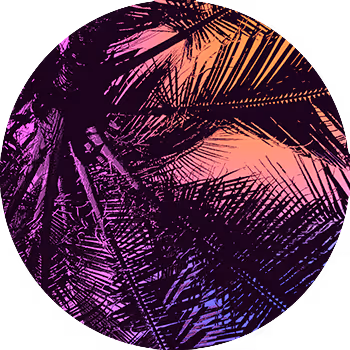 Paste Palms Collection #6