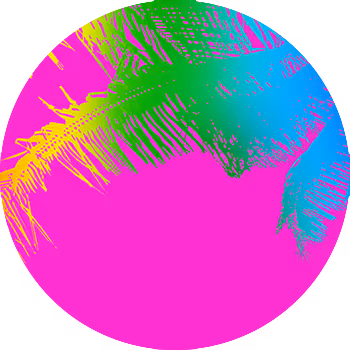 Pastel Palms Collection #8
