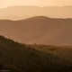 Appalachian State of Mind