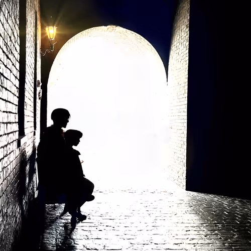 Path of Transition - old