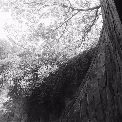 Path To Covalent - old