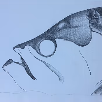 Patnip Tarpons